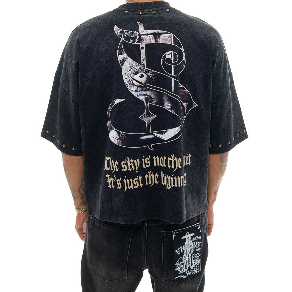 Stray dream big wide & crop fit tee