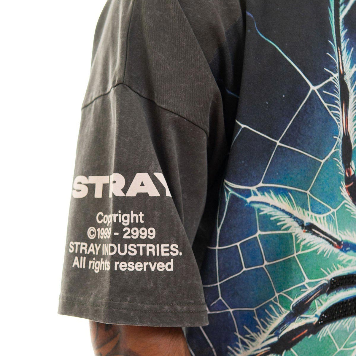 Stray spider wide & crop fit tee