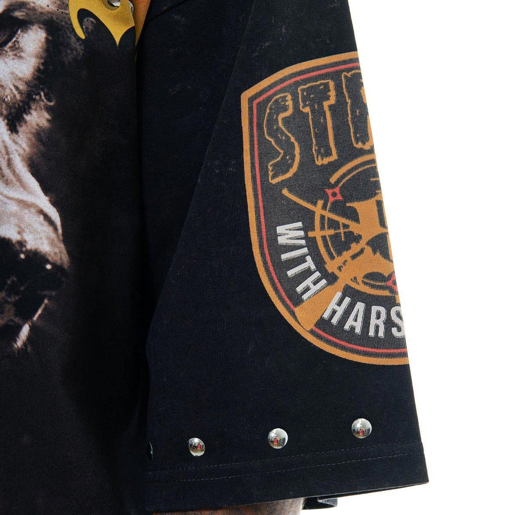 Stray ambitions 3/4 sleeve tee