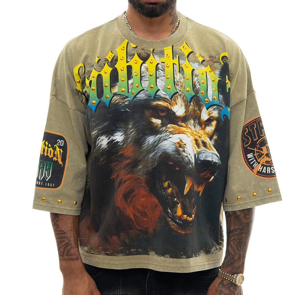 Stray ambitions 3/4 sleeve tee