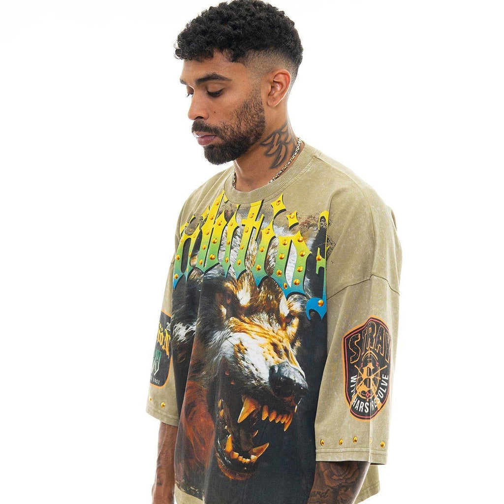 Stray ambitions 3/4 sleeve tee