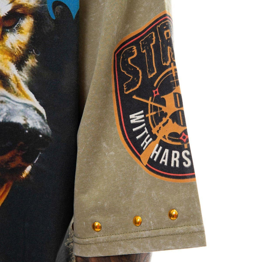 Stray ambitions 3/4 sleeve tee