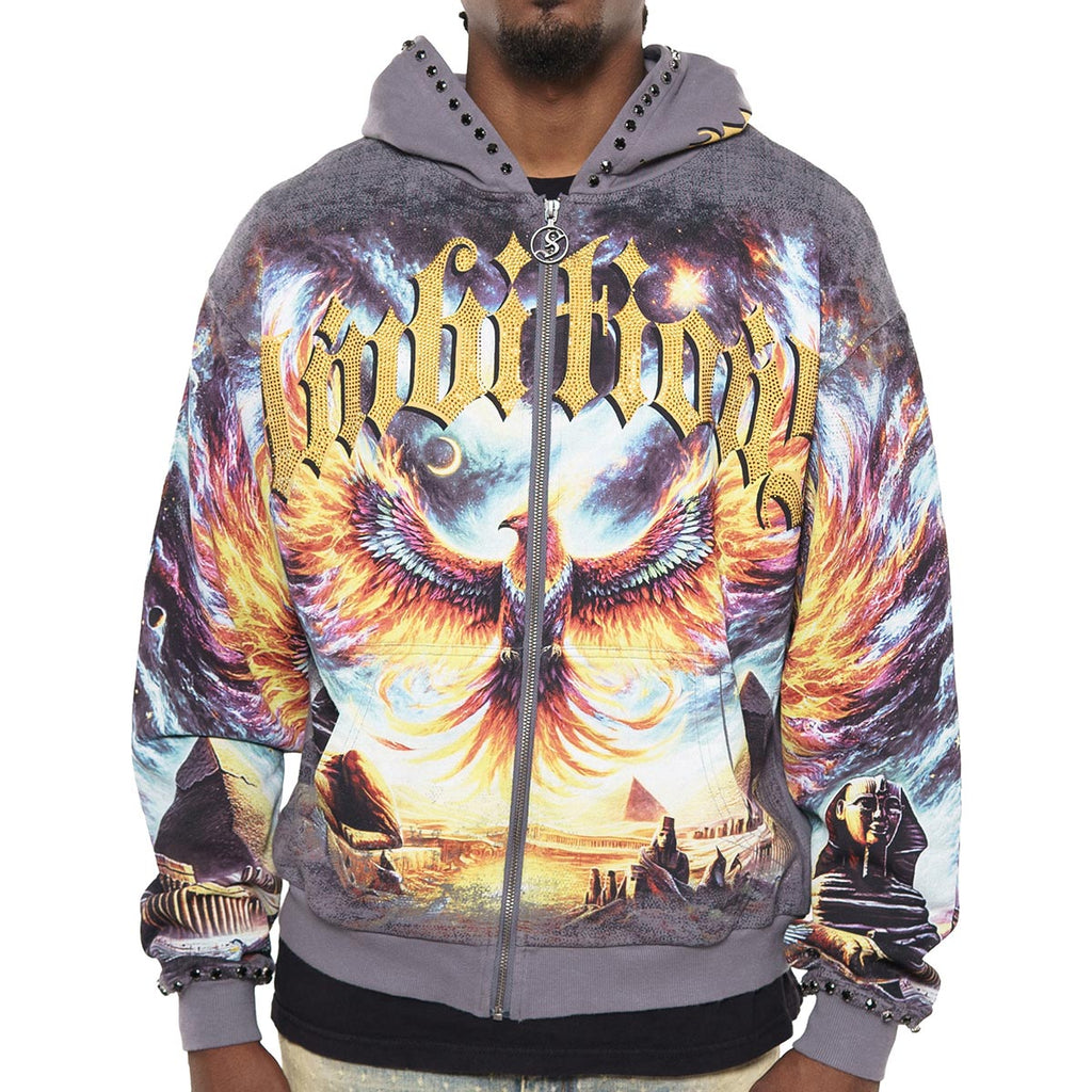 Ambitions stray full-zip hoodie