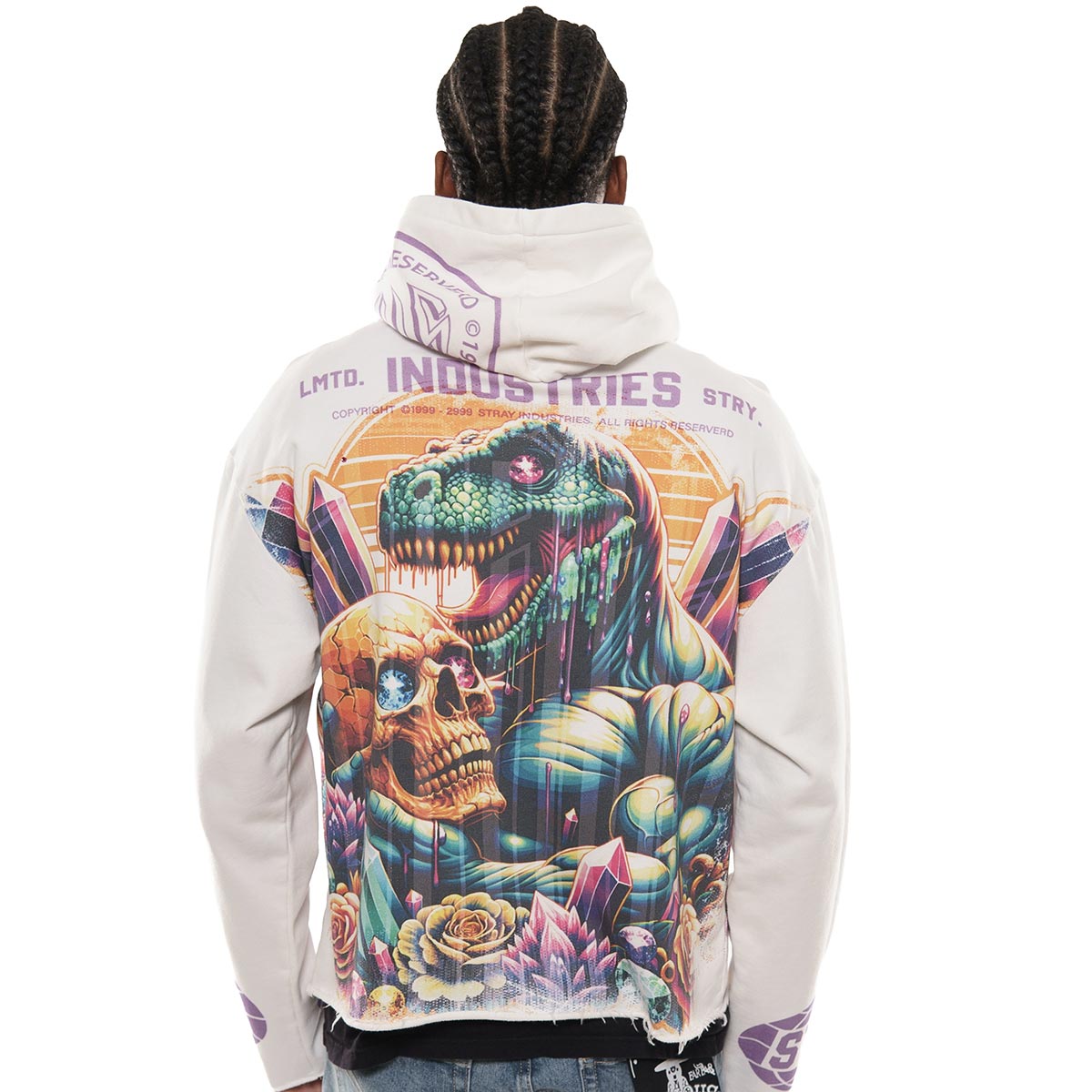 Delusions stray full-zip hoodie