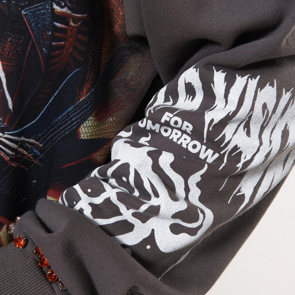 A bold vision stray full-zip hoodie