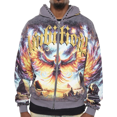 Ambitions stray full-zip hoodie