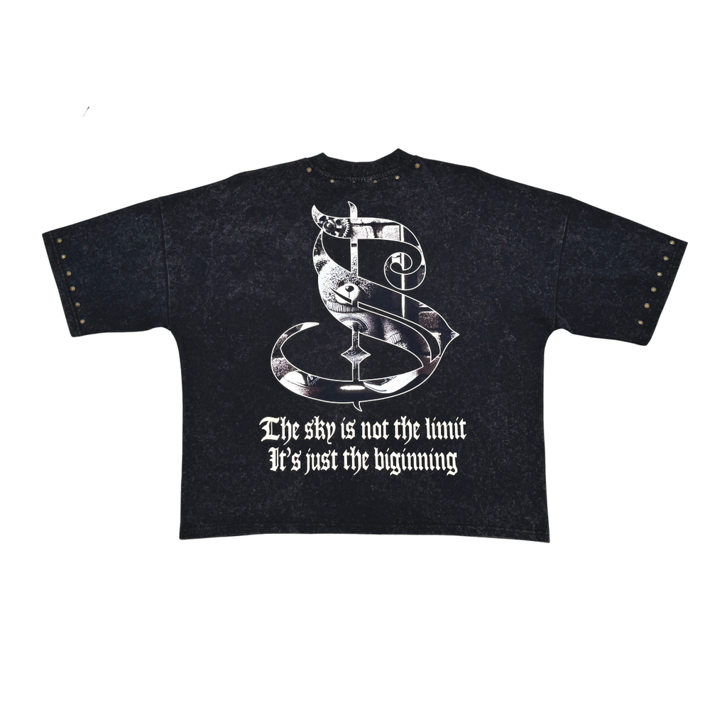 Stray dream big wide & crop fit tee