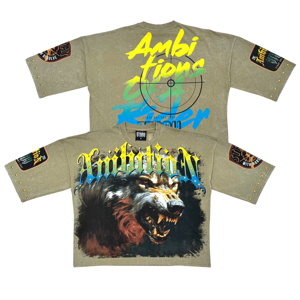 Stray ambitions 3/4 sleeve tee